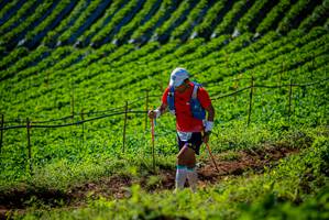 BIB: 
                            <button type="button" onclick="openModal(19160976)" class="btn btn-primary btn-sm float-right btn-popup" data-toggle="modal" data-target=".modal-high-quality">
                        <i class="fas fa-shopping-cart"></i> Add to Cart
                    </button>
                                            <button type="button" onclick="isThisMe(19160976, true)" class="btn btn-success btn-sm float-right btn-popup btn-isme hidden" data-toggle="tooltip" data-placement="bottom" title="นี่คือรูปของคุณใช่ไหม คลิกที่นี่เพื่อเอาเข้าอัลบั้ม">
                        <i class="fas fa-plus"></i> Add to album
                    </button>
                    <button type="button" onclick="isThisMe(19160976, false)" class="btn btn-warning btn-sm float-right btn-popup btn-isnotme hidden">
                        <i class="fas fa-ban"></i> Remove from album
                    </button>